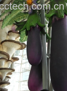 果蔬百科茄子-0