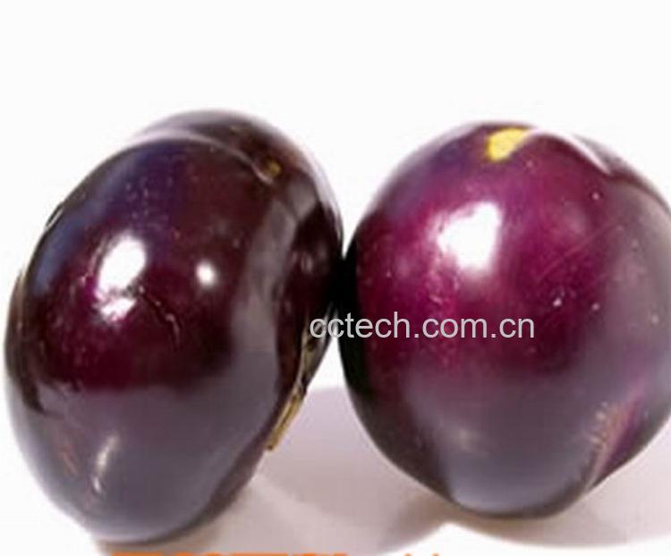 果蔬百科茄子-0