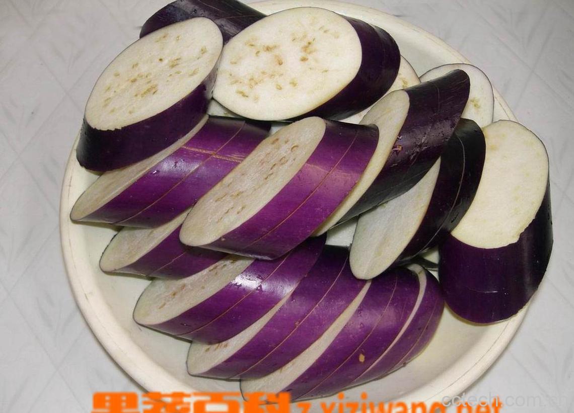 果蔬百科茄子-0