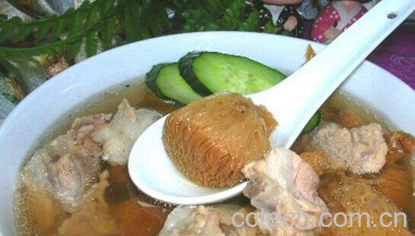 果蔬百科猴头菇-0