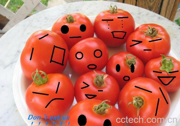 果蔬百科番茄红素-0