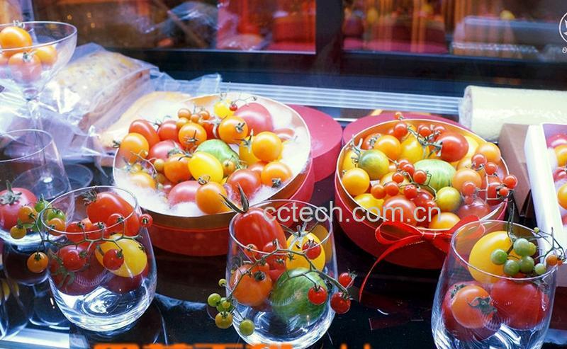 果蔬百科番茄-0