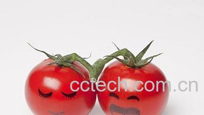 果蔬百科番茄-0