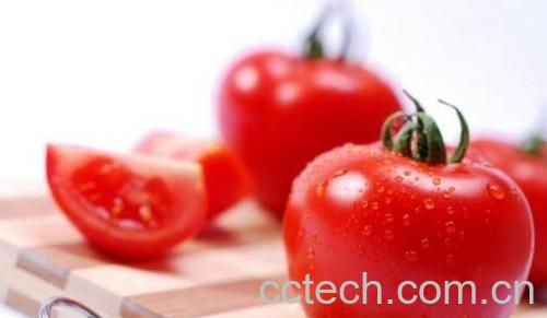 果蔬百科番茄-0