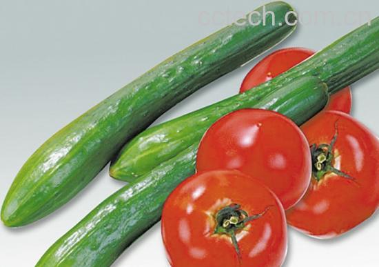 果蔬百科番茄-0