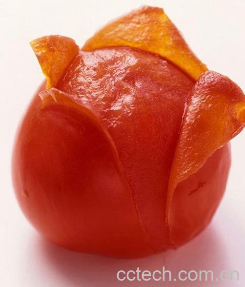 果蔬百科番茄-0