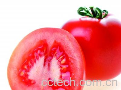 果蔬百科小番茄-0