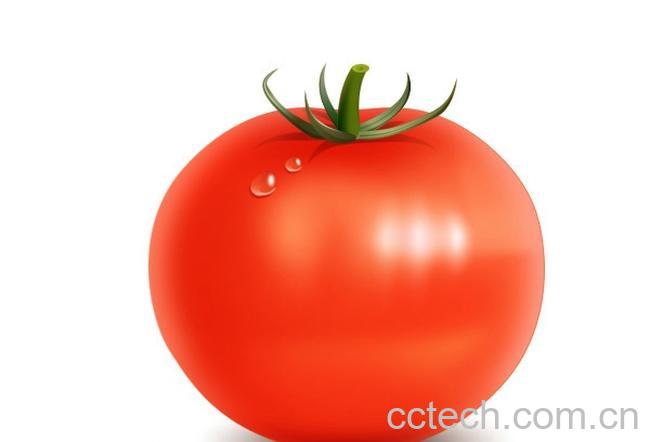 果蔬百科番茄-0