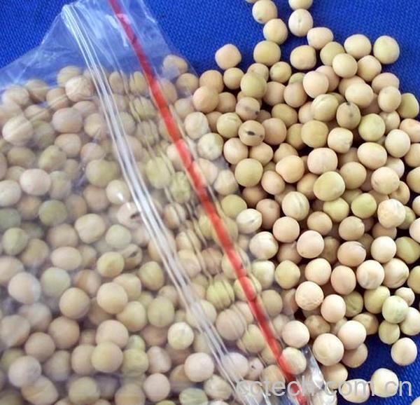 果蔬百科豌豆-0