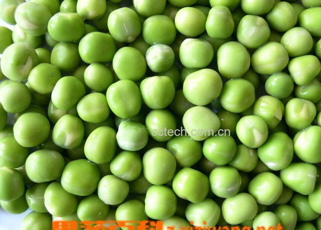 果蔬百科豌豆-0