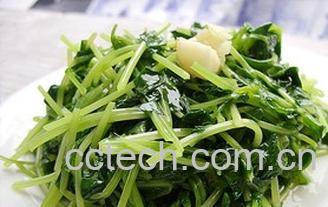 果蔬百科豌豆苗-0