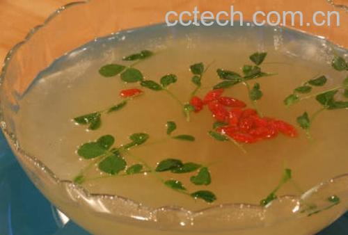 果蔬百科冬瓜燕-0