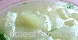 果蔬百科冬瓜燕-0