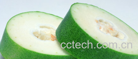 果蔬百科冬瓜-0