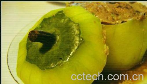 果蔬百科酿冬瓜-0