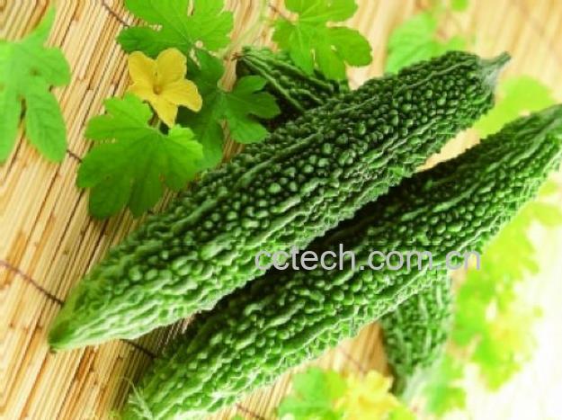 果蔬百科苦瓜-0