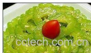 果蔬百科苦瓜-0