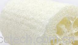 果蔬百科丝瓜络-0