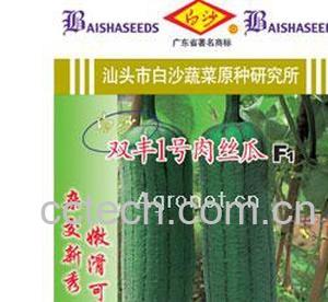 果蔬百科1号肉丝瓜-0