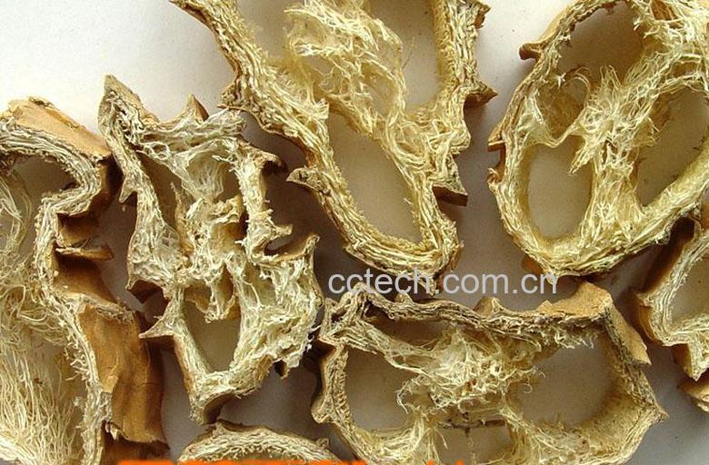 果蔬百科丝瓜络-0