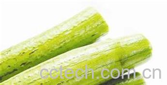 果蔬百科丝瓜-0