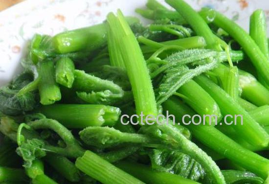 果蔬百科南瓜藤-0