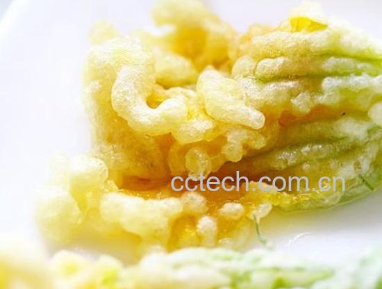 果蔬百科酥炸南瓜花-0