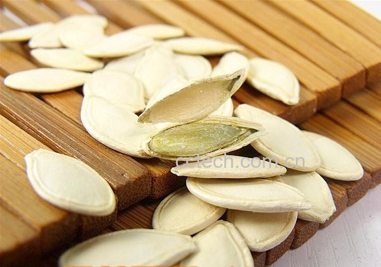 果蔬百科南瓜子-0