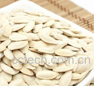 果蔬百科白瓜子-0