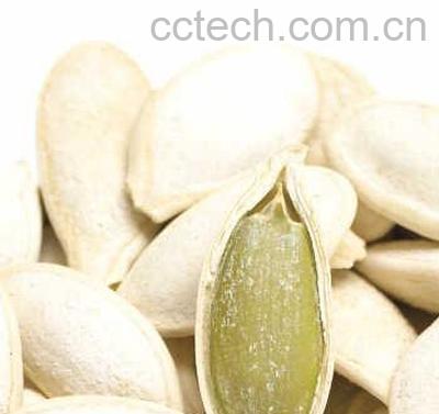 果蔬百科南瓜子-0