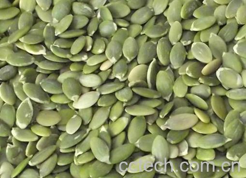 果蔬百科南瓜子-0