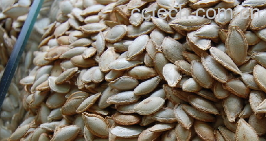 果蔬百科南瓜子-0