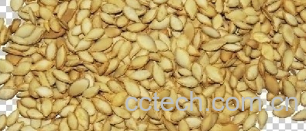 果蔬百科南瓜子-0