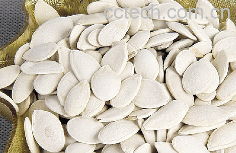 果蔬百科南瓜子-0