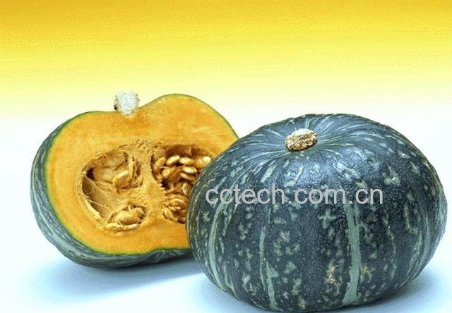 果蔬百科南瓜-0