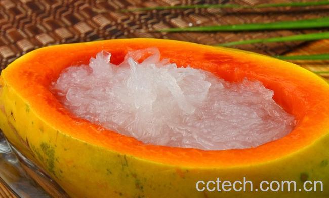 果蔬百科木瓜炖燕窝-0