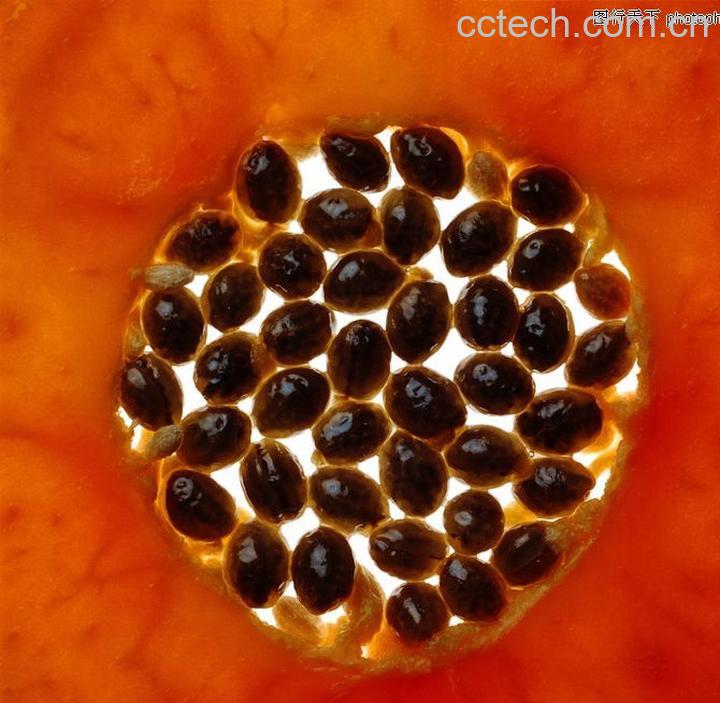 果蔬百科木瓜籽-0