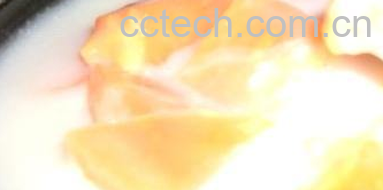 果蔬百科牛奶木瓜饮-0