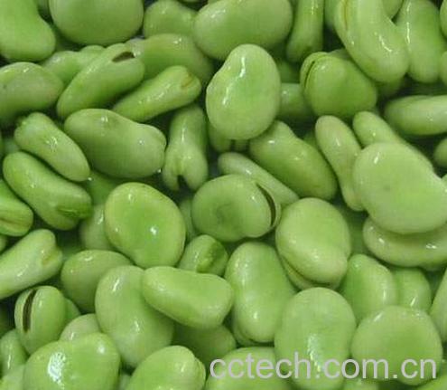 果蔬百科蚕豆-0