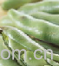 果蔬百科蚕豆-0