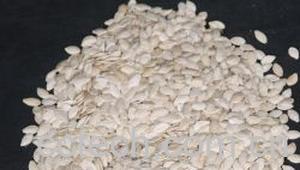 果蔬百科冬瓜子-0