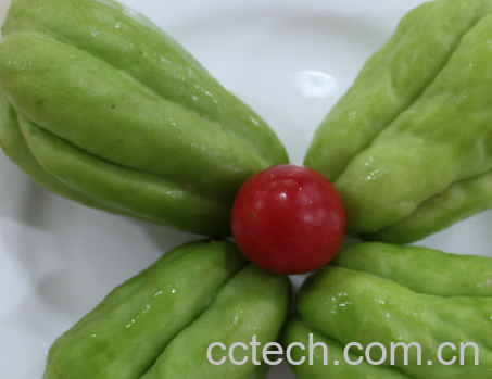 果蔬百科佛手瓜-0