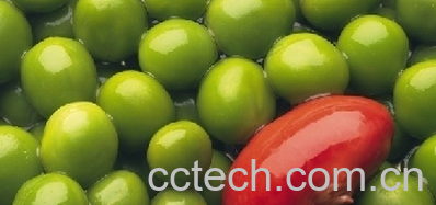 果蔬百科豌豆-0