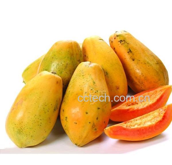 果蔬百科木瓜-0