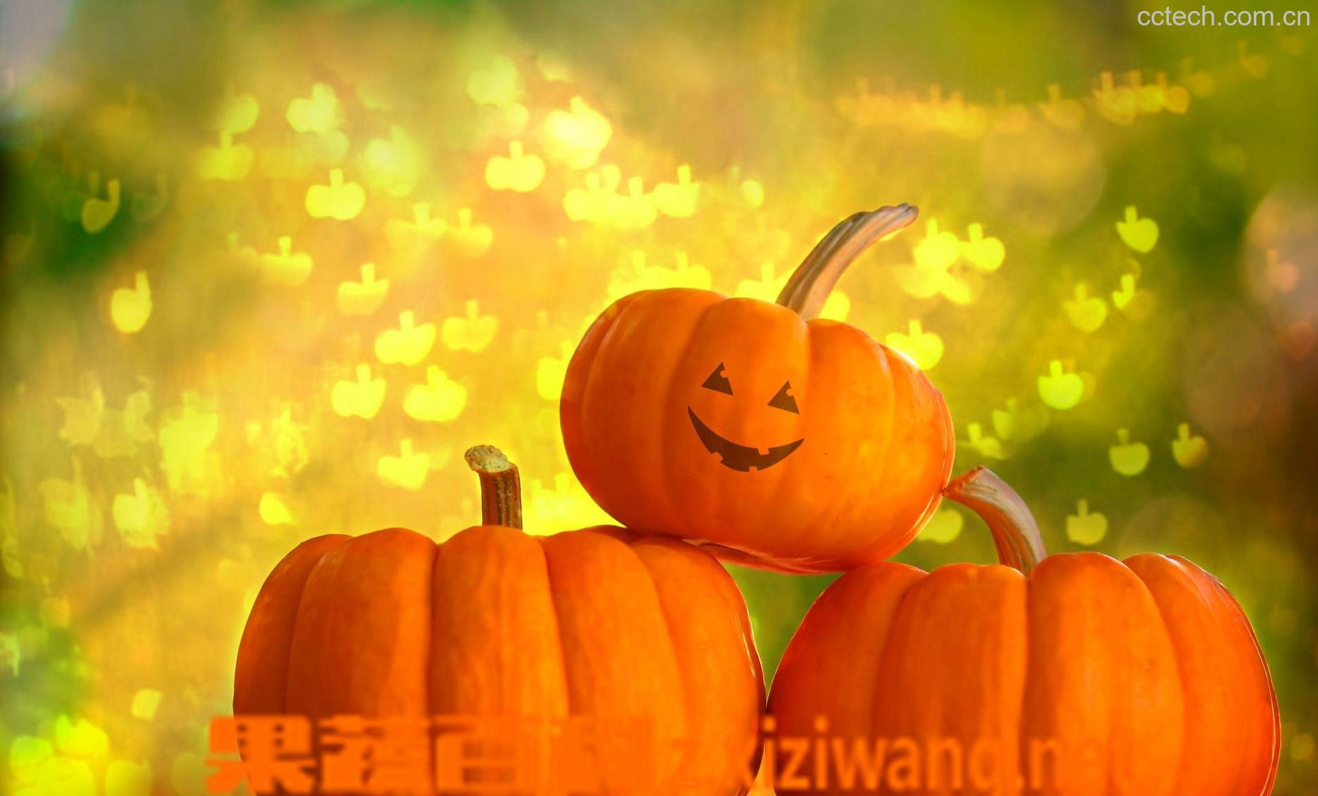 果蔬百科南瓜-0