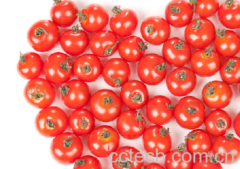 果蔬百科番茄-0