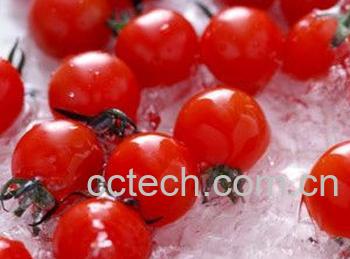 果蔬百科番茄-0