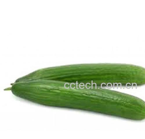 果蔬百科青瓜-0