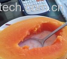 果蔬百科冰糖牛奶炖木瓜-0