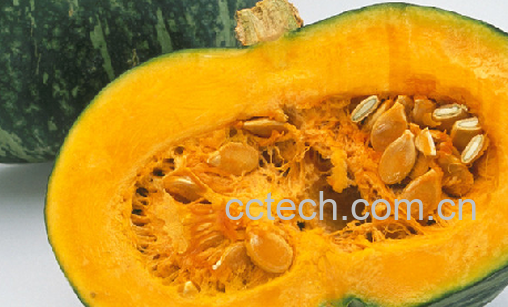 果蔬百科南瓜-0